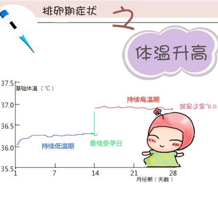 女性基礎體溫 女性基礎體溫